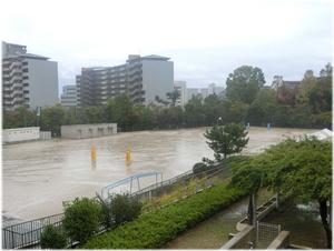 あいにくの雨