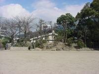 観察池と築山