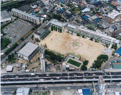 航空写真