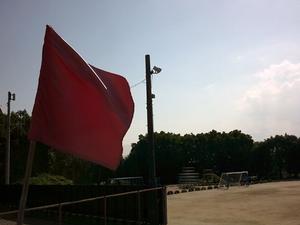 夏を乗り越える