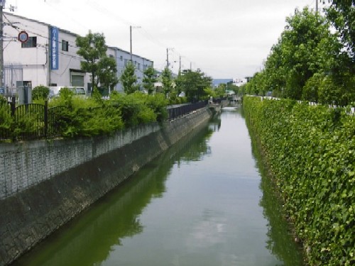 上津島 写真２