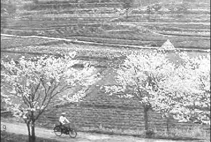 昭和49年代の兎川堤防の様子