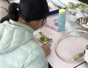 お弁当を食べる児童のようす